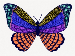 butterfly color