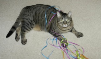 max with ribbons